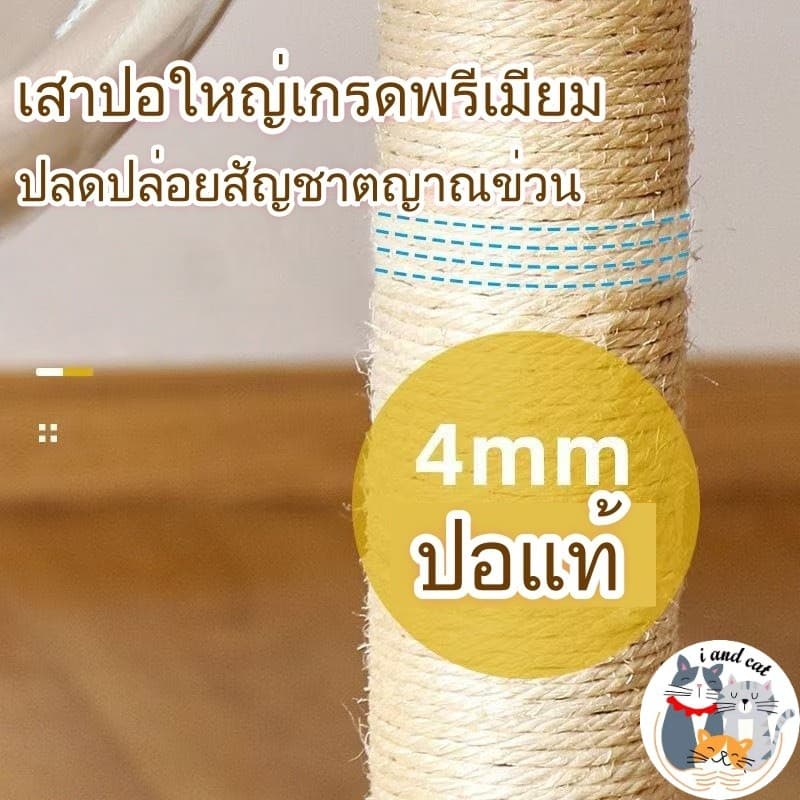คอนโดแมวไม้ มินิมอล สูง120ซม แคปซูลใส ปีนเล่น ลับเล็บ ที่นอนได้ แถมของเล่น รูปที่ 6
