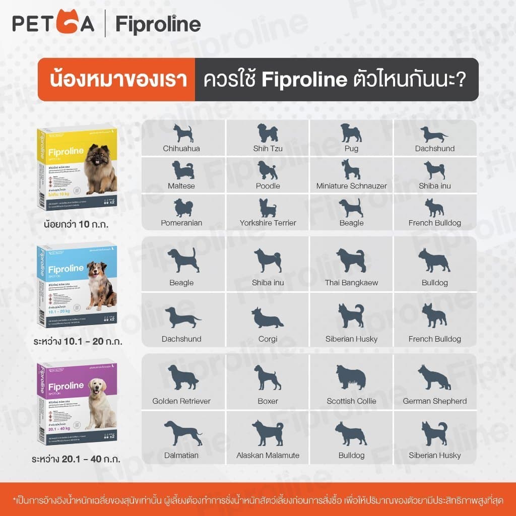 Fiproline ผลิตภัณฑ์กำจัดเห็บหมัด สำหรับสุนัขและแมว ชนิดหยดหลัง รูปที่ 4