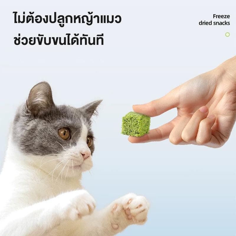 อาหารว่างสำหรับสัตว์เลี้ยง แบบแช่แข็ง เม็ดหญ้าแมว เนื้อไก่ อาหารเสริมโภชนาการสำหรับแมว ผสมกับอาหารหลัก รูปที่ 6