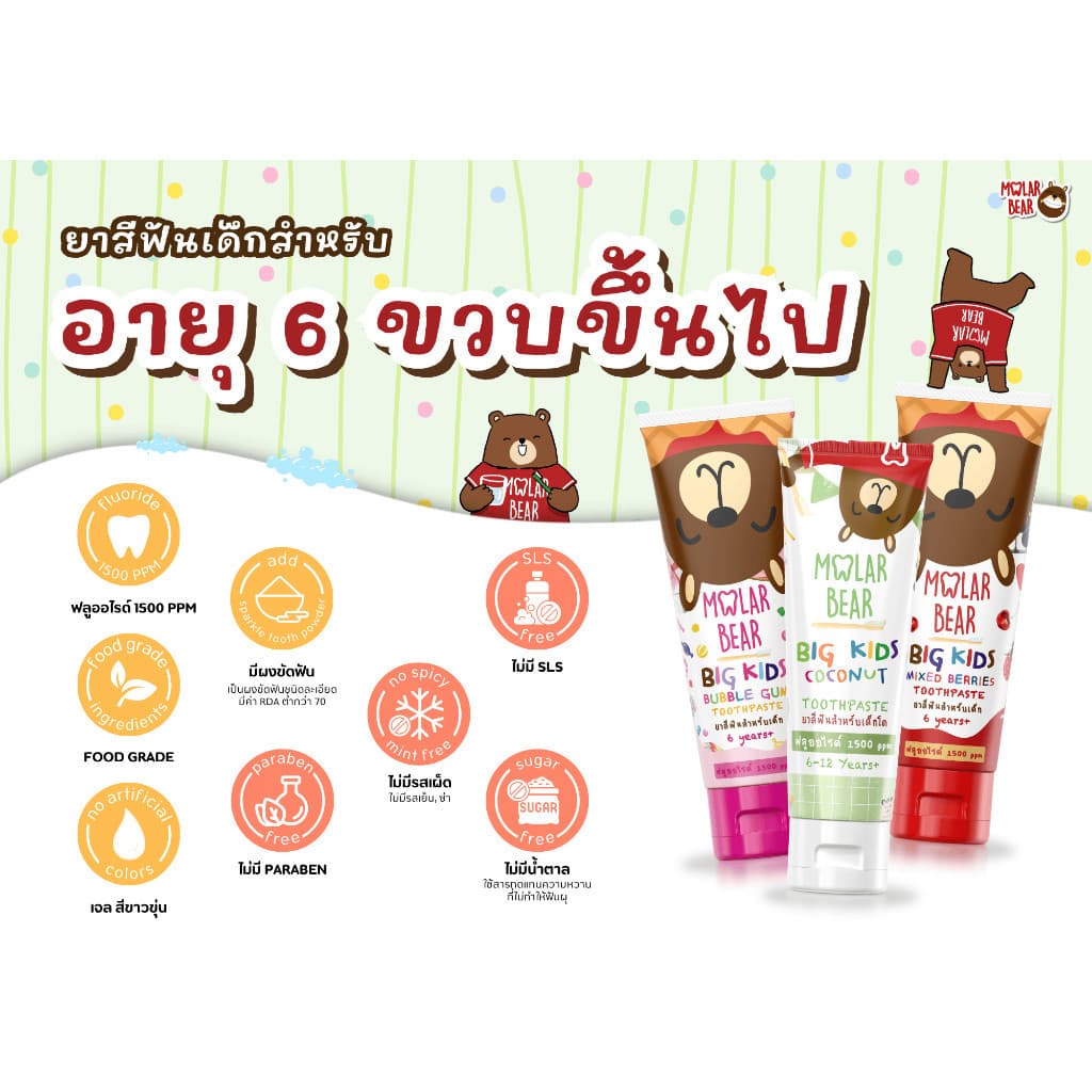Mall Molar Bear 6 ขวบ+ ยาสีฟันเด็ก รุ่น Big Kids ฟลูออไรด์ 1500 ppm โมล่าร์แบร์ รูปที่ 5