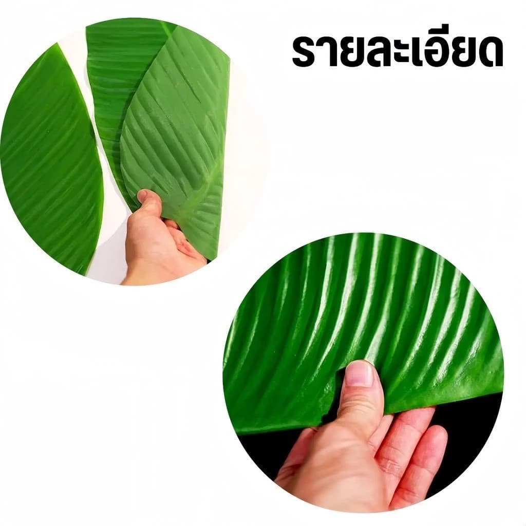 4 แถม 4ใบตอง 58 × 29 เซนติเมตร ใบตองปลอม ใบตองเทียม ใบกล้วย ใบกล้วยจำลอง รูปที่ 7