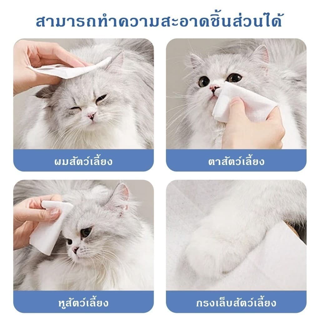 10 แพ็คทิชชู่เปียกสัตว์เลี้ยง 120แผ่น สูตรอ่อนโยน ไม่มีแอลกอฮอล์ เช็ดตา/หู/ตัว อ่อนโยน เส้นใยธรรมชาติ 100% รูปที่ 6