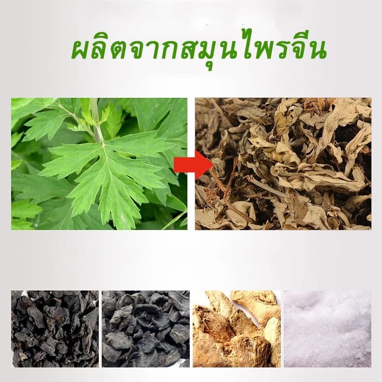 แผ่นประคบสมุนไพรอุ่น Artemisia คลายกล้ามเนื้อ เมื่อยล้า รูปที่ 2