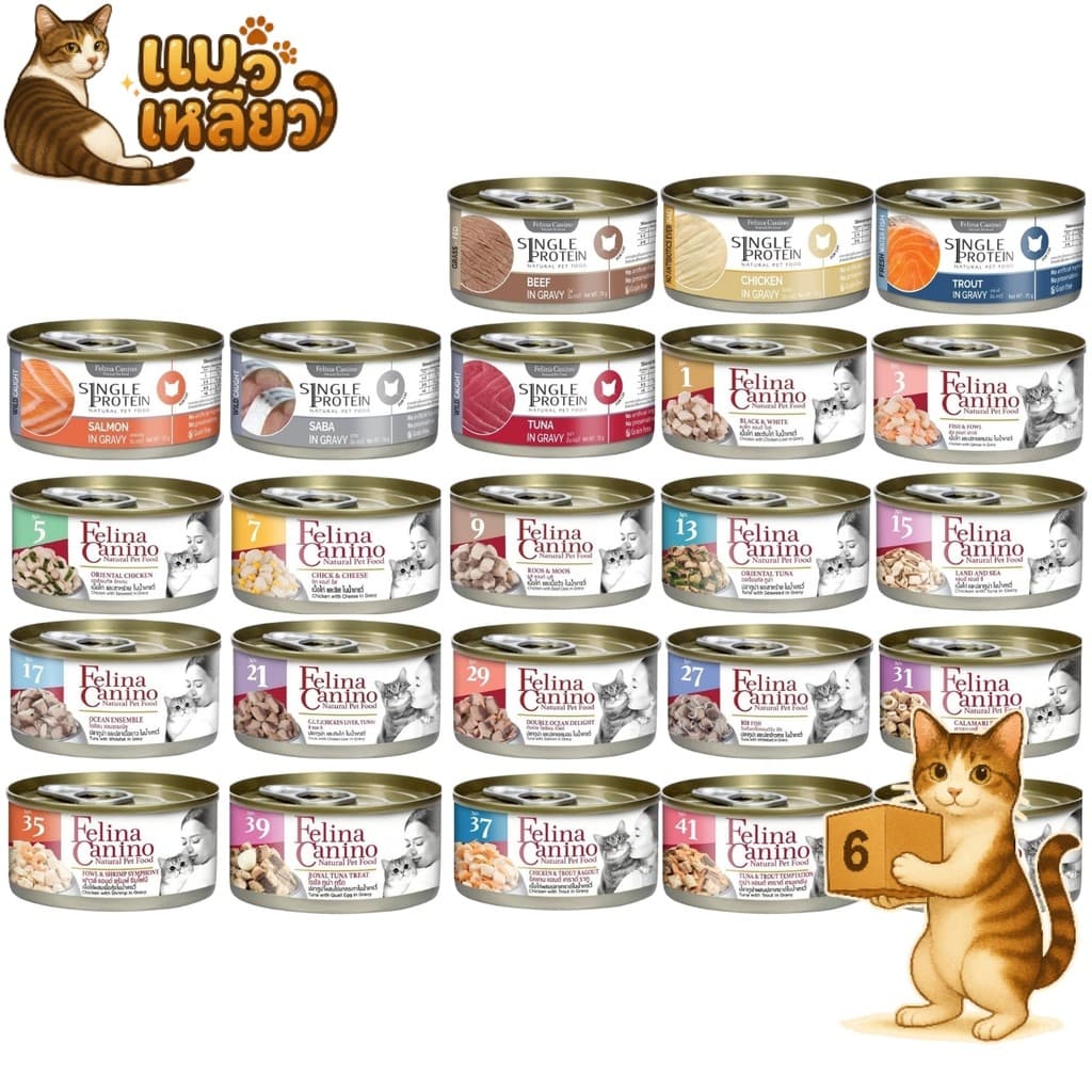 Felina Canino Single Protein เปียกแมว เนื้อเน้นๆ ไม่เติมเกลือ เหมาะกับน้องแมวอายุ 2 M+ รูปที่ 1