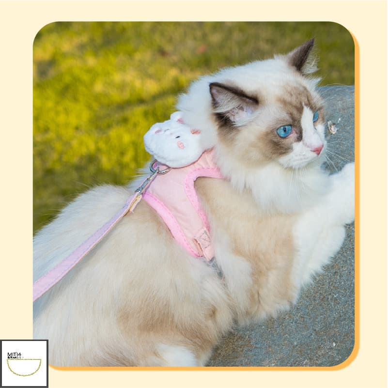 Doge&Orange สายจูงสัตว์เลี้ยง เชือกจูงแมว สายรัดอกแมว ดีไซน์น่ารัก ระบายอากาศได้ดี PU86 รูปที่ 9