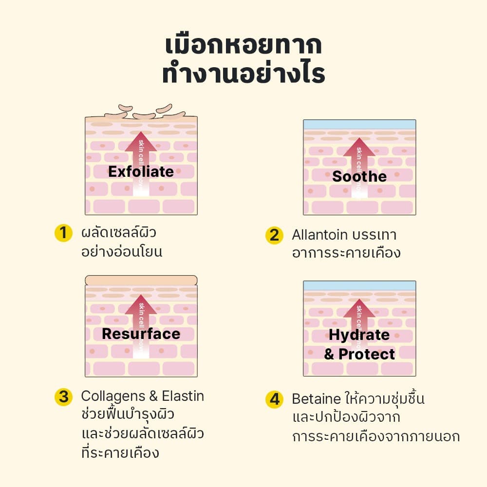 Advanced Snail 96 Mucin Power Essence 30ml แอดวานซ์ สเนล 96 มิวซิน เพาเวอร์ เอสเซนส์ 30 มล. รูปที่ 7