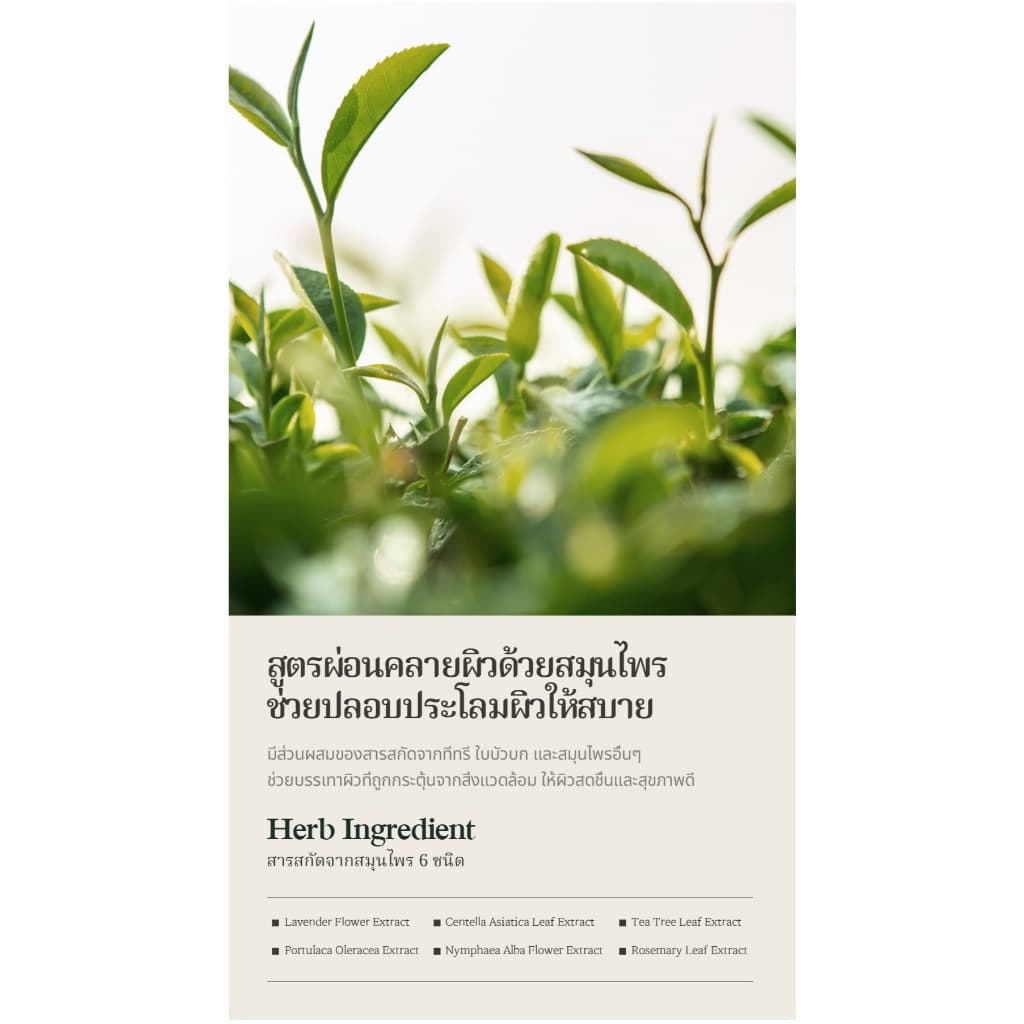 บูเก้ การ์นิ นาร์ด ยูวี ชิลด์ ซัน ครีม 50 มล.-SPF 50+, PA++++ รูปที่ 6