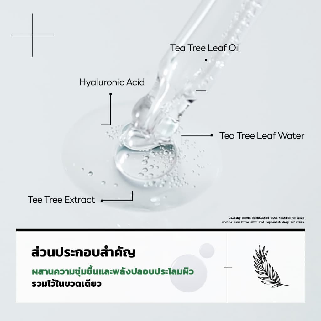 MEDIHEAL OFFICIAL Tea tree Calming Moisture Serum 40ml : Gentle Calming Effect ไม่ระคายเคืองสําหรับผิวแพ้สิว รูปที่ 5