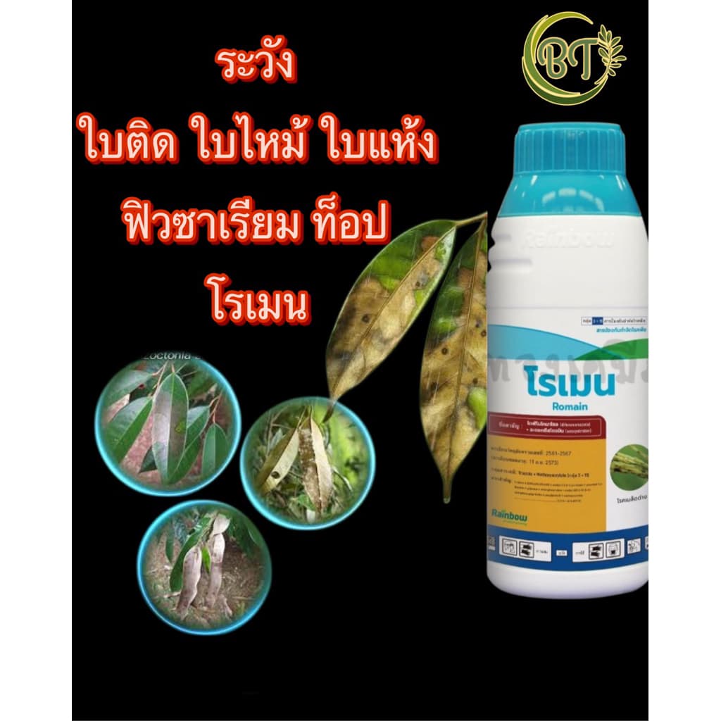ขนาด 1 ลิตร โรเมน เรนโบว์ สารไดฟีโนโคนาโซล+อะซอกซีสไตรบิน ป้องกันกำจัดโรคพืช รูปที่ 3