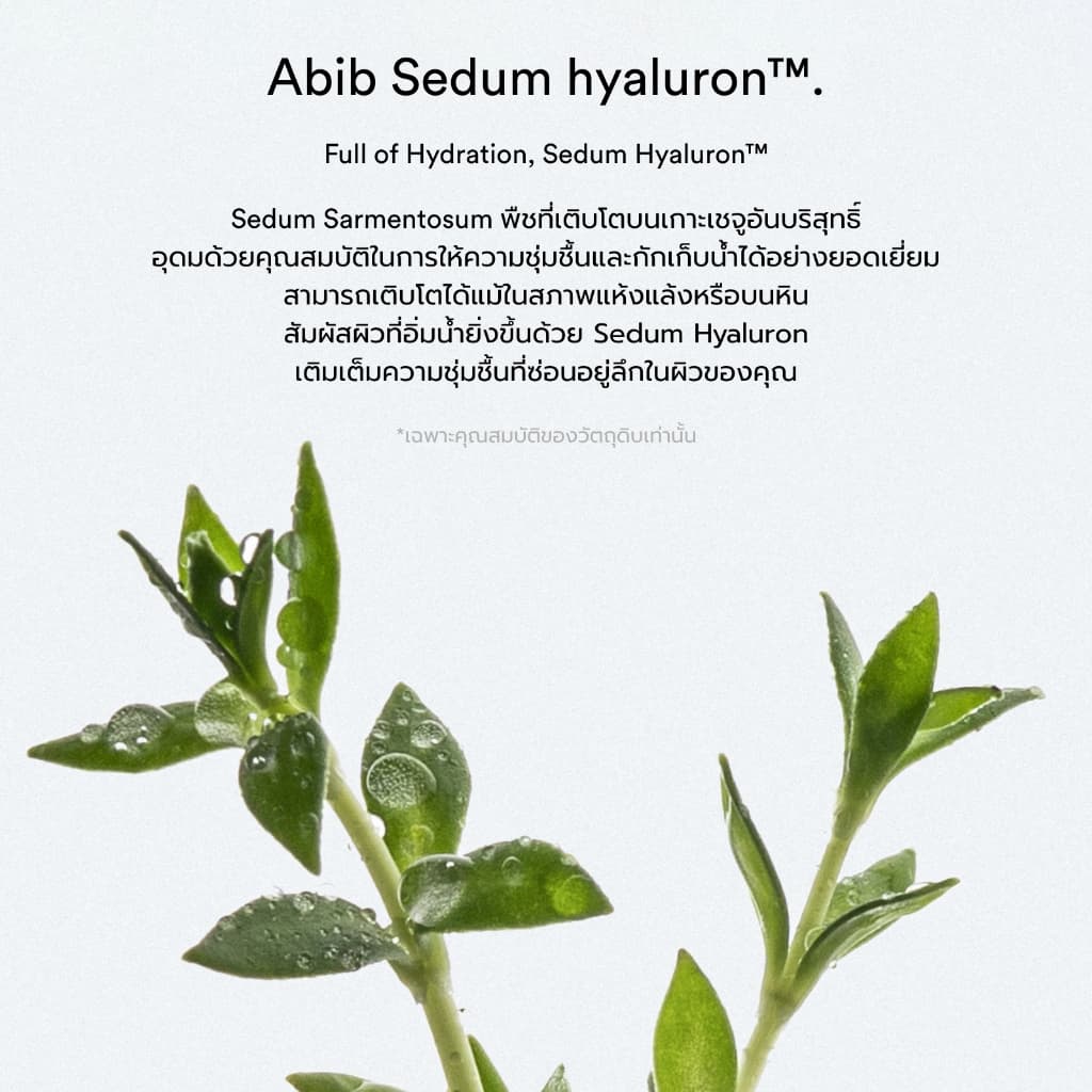 Abib Sedum hyaluron crème Hydrating pot รูปที่ 2