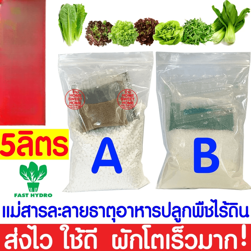 สารละลาย AB ไฮโดรโปนิกส์ FAST HYDRO ใช้ปลูกผักสลัด ผักไทย และผักจีน รูปที่ 2