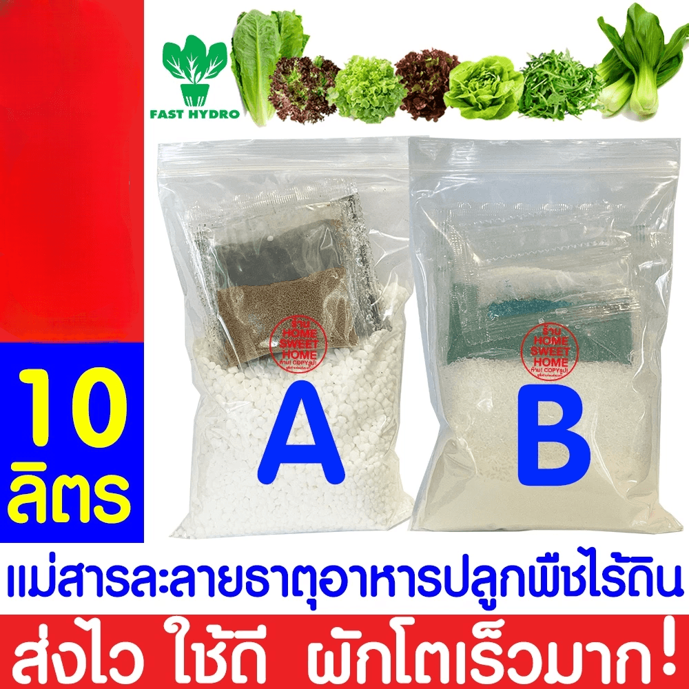 สารละลาย AB ไฮโดรโปนิกส์ FAST HYDRO ใช้ปลูกผักสลัด ผักไทย และผักจีน รูปที่ 3