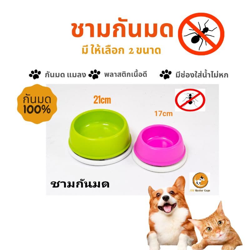 ชามอาหารสัตว์ กันมด ชามกันมด เนื้อหนา ถ้วยอาหาร กันมด กันแมลง รูปที่ 1