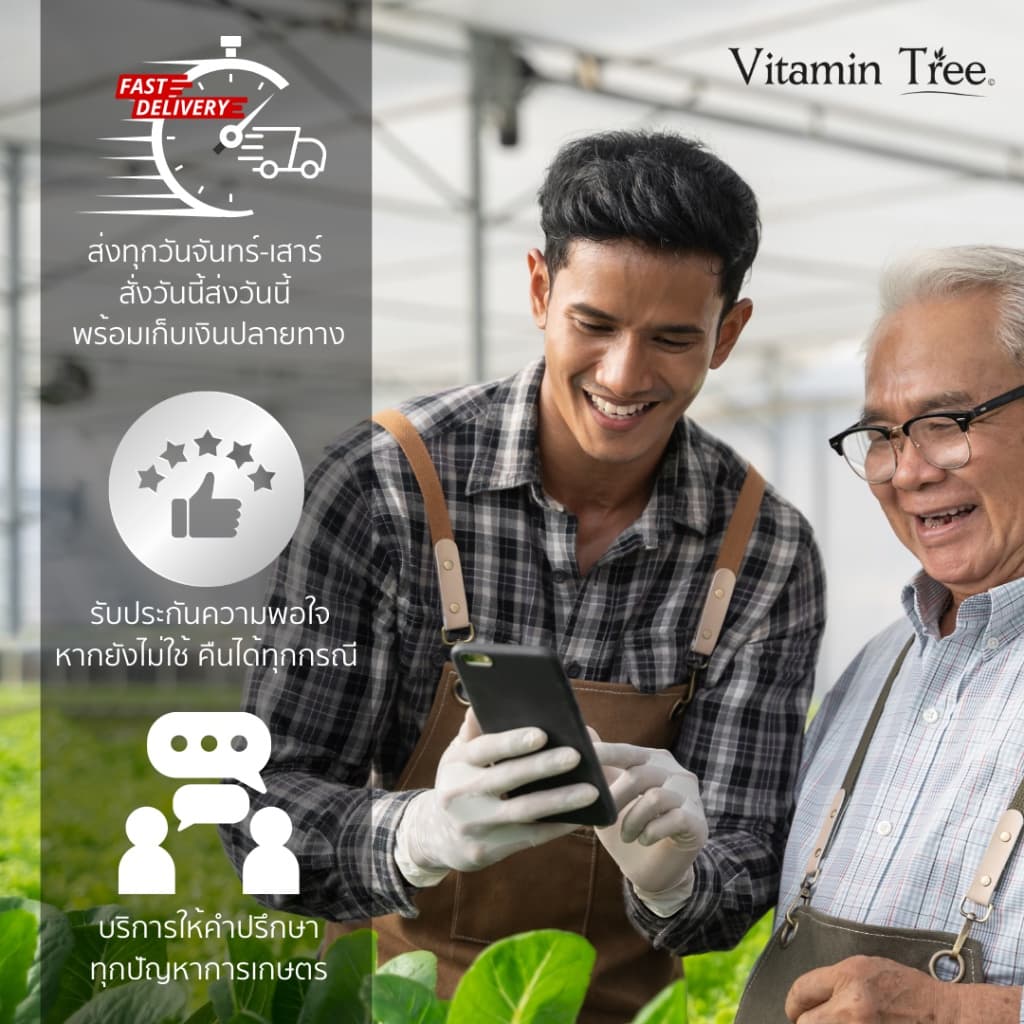 โฟลิอาร์ฟอส 400 1ลิตร ต้นตำรับ ฝังเข็มทุเรียน กรดฟอสโฟนิก สารกำจัดเชื้อรา รากเน่า โคนเน่า โรคพืช รูปที่ 7