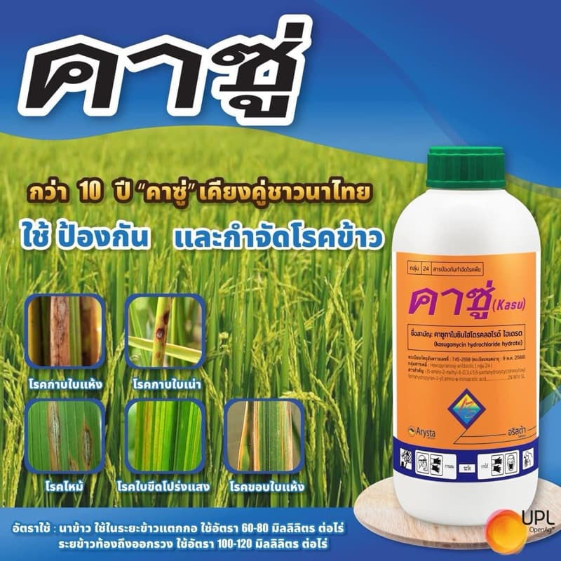 คาซู่ 1 ลิตร คาซูกาไมซิน แบคทีเรีย ไวรัส ใบส้ม ใบขีด ใบจุด ใบโปร่งแสง เชื้อรากาบใบแห้ง รูปที่ 2