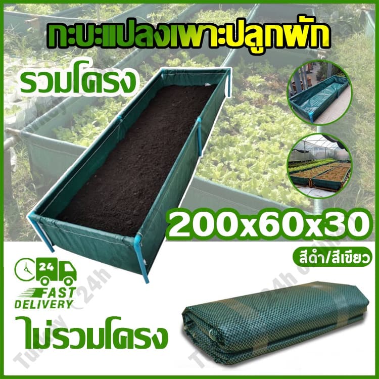 กระบะปลูกผัก​ ​ขนาด​ 60x200x30 cm.​ กะบะเพาะปลูก แปลงผักเพาะปลูก รูปที่ 1