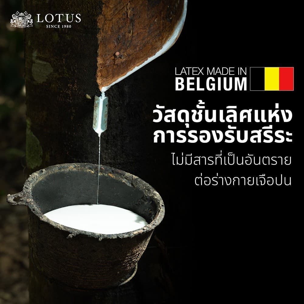 LOTUS ที่นอนยางพาราแท้ปลอดภัยต่อสุขภาพ ปราศจากสารเคมี สัมผัสนุ่มแน่น ลดอาการปวดหลัง นำเข้าจาก Belgium รูปที่ 3