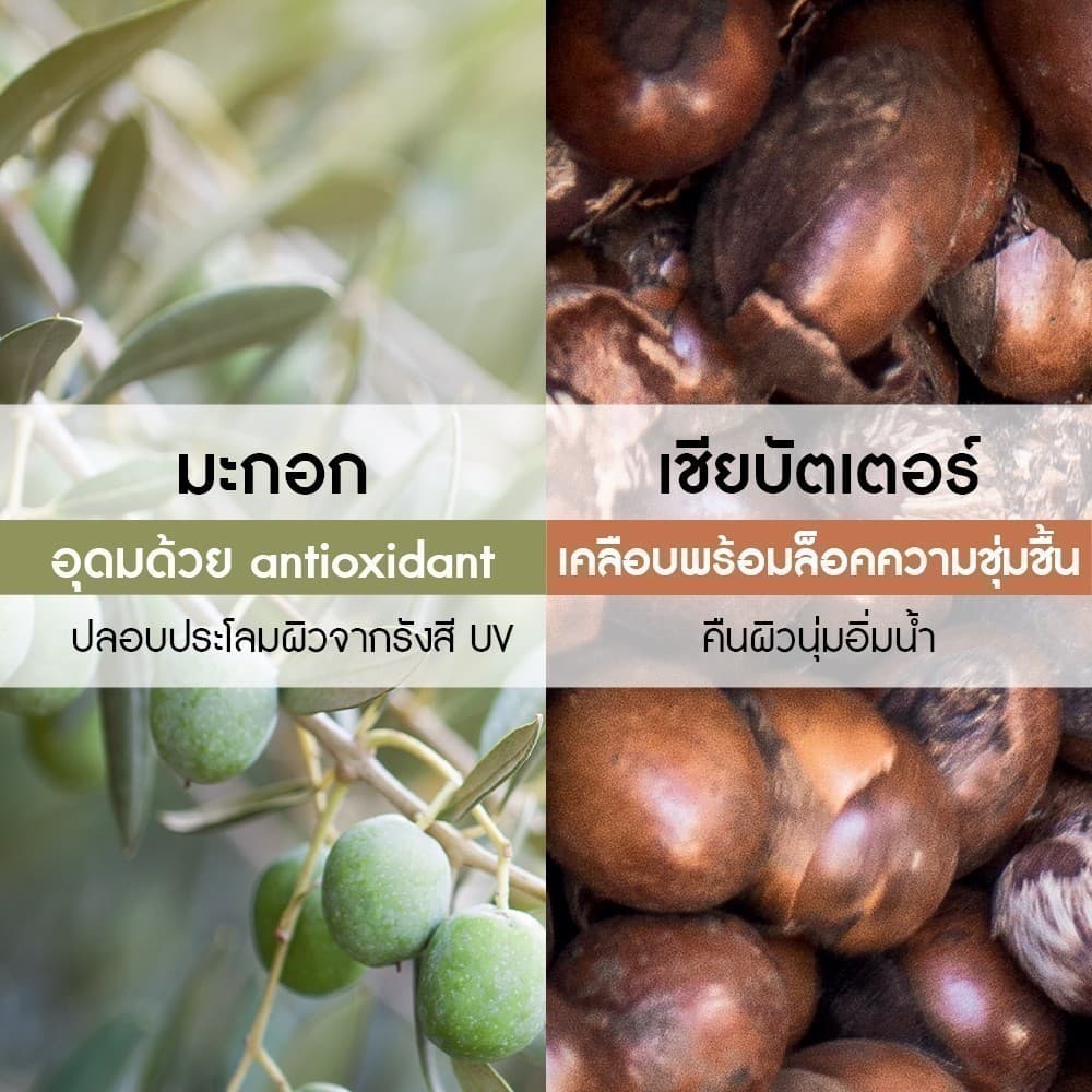 อีฟ โรเช Yves Rocher Olive & Petitgrain Relaxing Body Lotion 390 มล. & Shower Gel 400 มล. รูปที่ 7