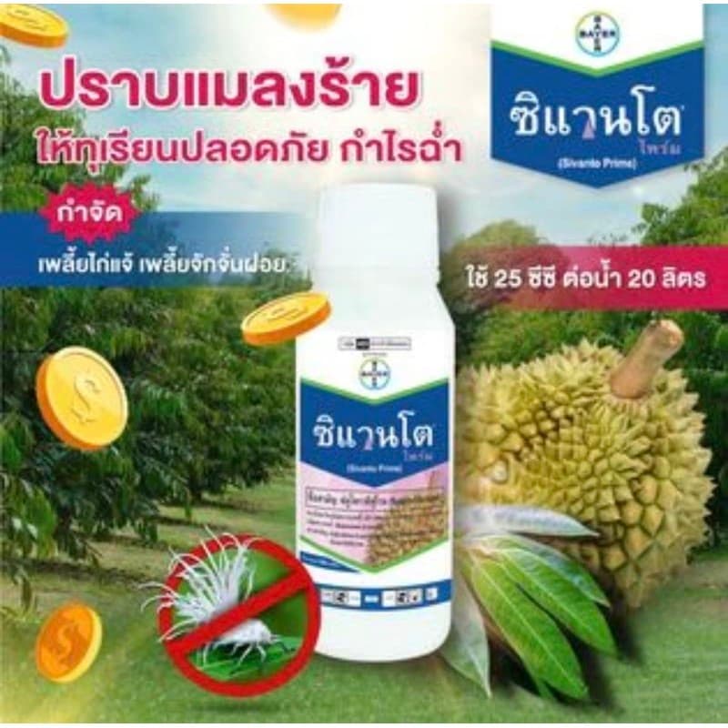 ซิแวนโต้ ขนาด 500ซีซี รูปที่ 3