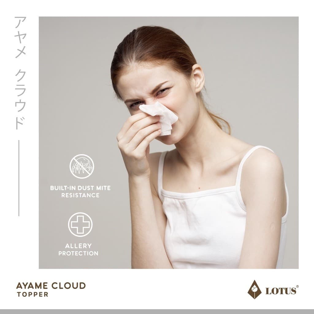 LOTUS ที่นอนนุ่มสบายกว่าขนห่านเทียม ที่นอนนาโน คลาวด์ไฟเบอร์ รุ่น Ayame Cloud หนา 4 นิ้ว จัด ในกล่อง รูปที่ 6