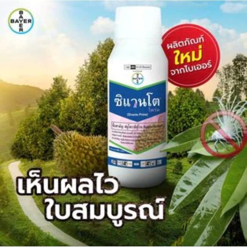 ซิแวนโต้ ขนาด 500ซีซี รูปที่ 2