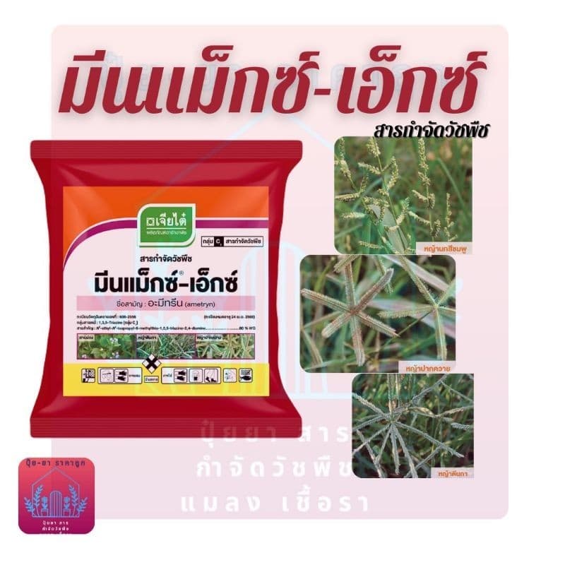 มีนแม็กซ์-เอ็กซ์ อะมีทรีน ตราเจียไต๋ ขนาด 1 กิโลกรัม x 12 แพ็คกำจัดวัชพืช รูปที่ 2
