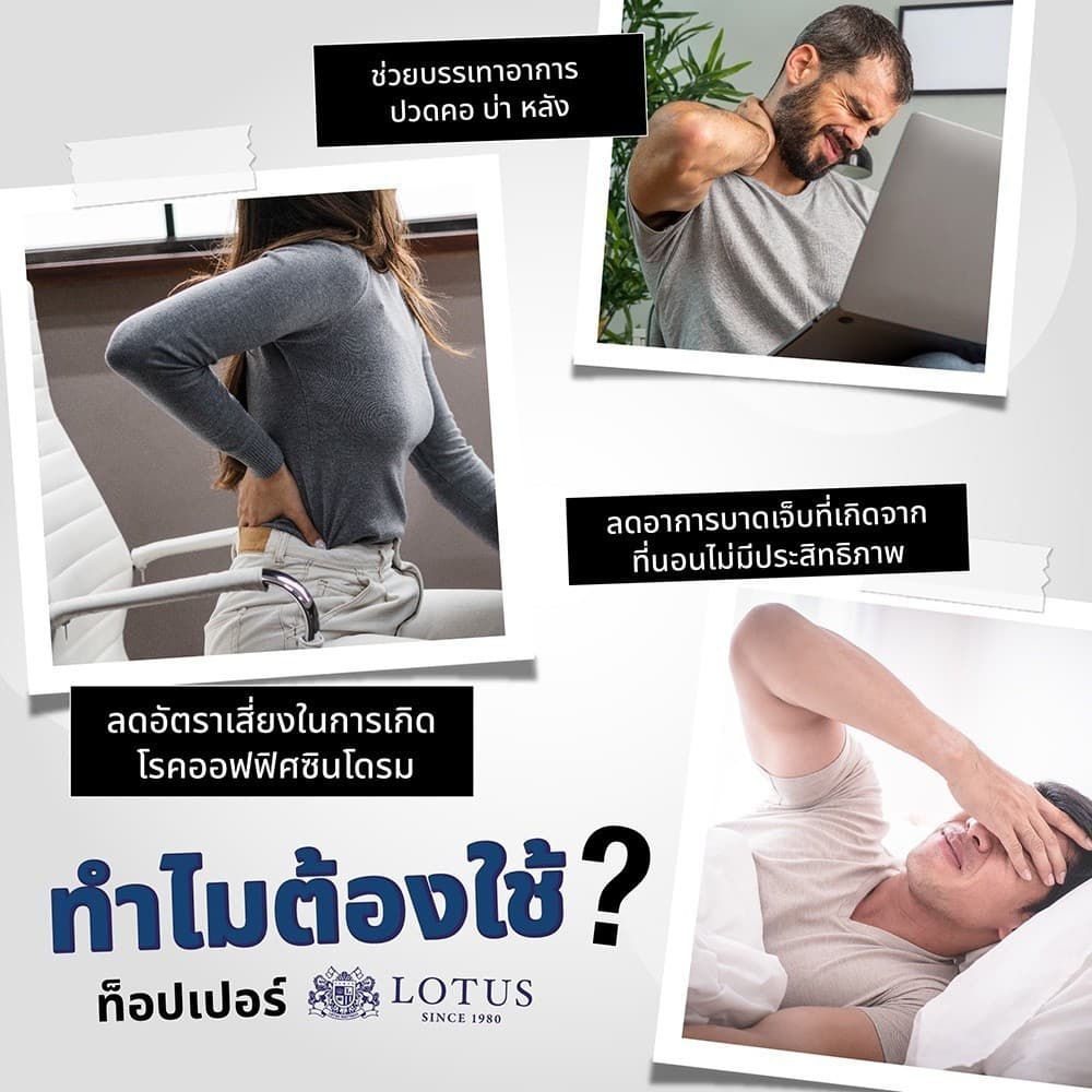 LOTUS ที่นอนยางพาราแท้ปลอดภัยต่อสุขภาพ ปราศจากสารเคมี สัมผัสนุ่มแน่น ลดอาการปวดหลัง นำเข้าจาก Belgium รูปที่ 2