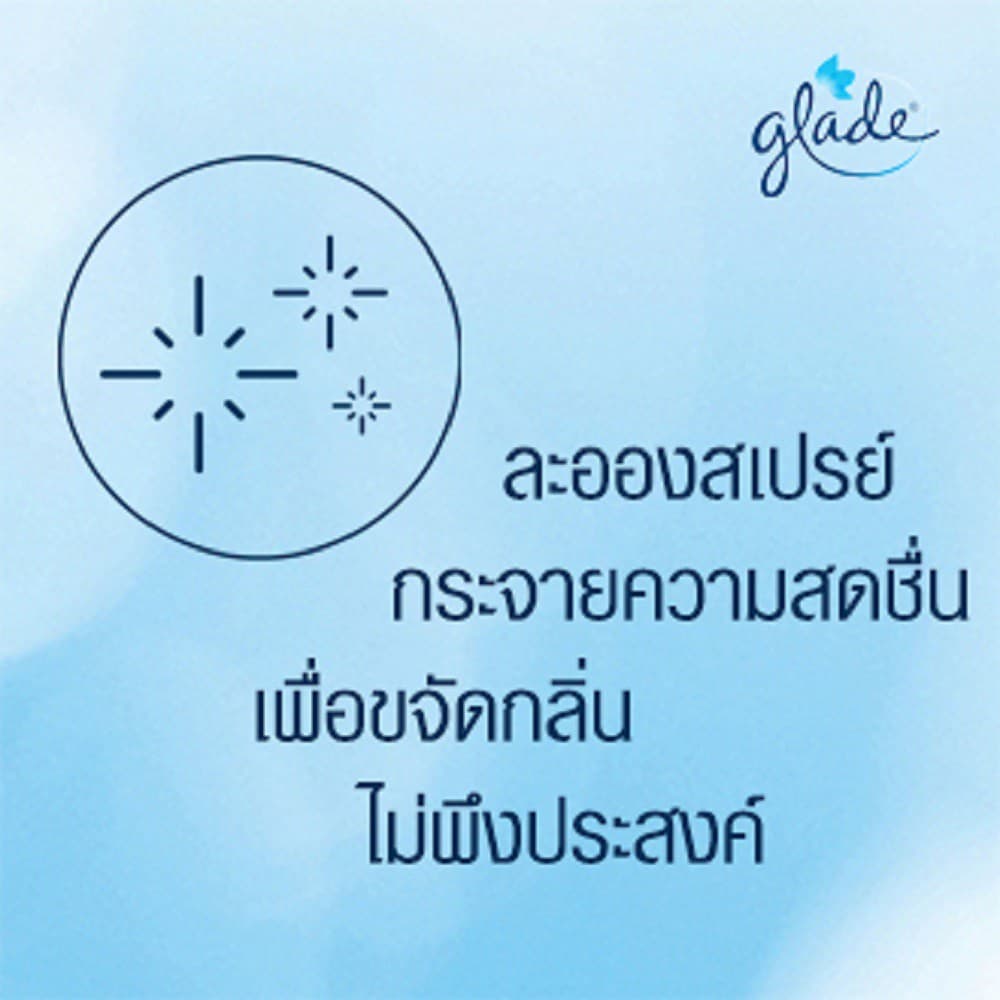 เกลดสเปรย์ปรับอากาศ กลิ่นฟลอรัล 320มล. แพ็คคู่ Glade Aerosol Spray Air Freshener Floral Perfection Twin Pack 2x320ml รูปที่ 7