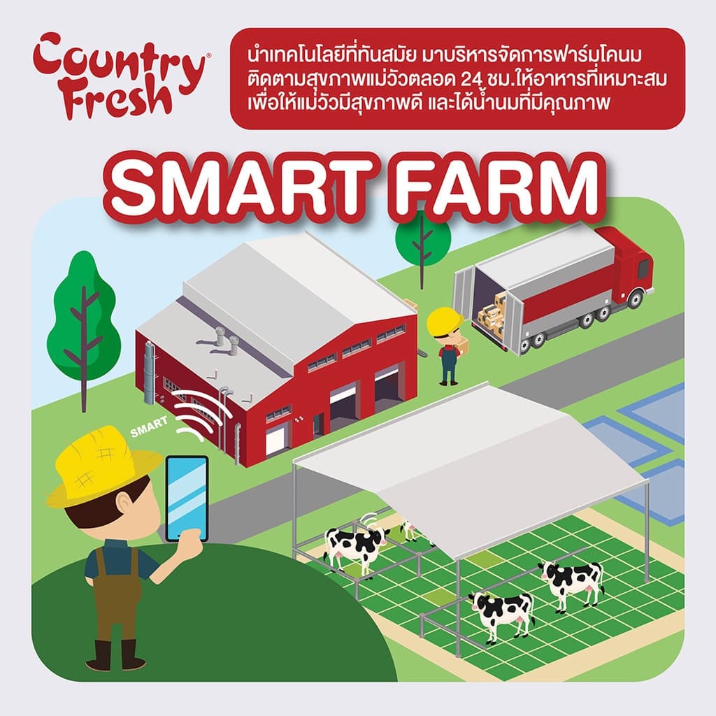 Country Fresh นมจืดยูเอชที นมกล่องพร้อมดื่ม ขนาด 180 มล. รูปที่ 4