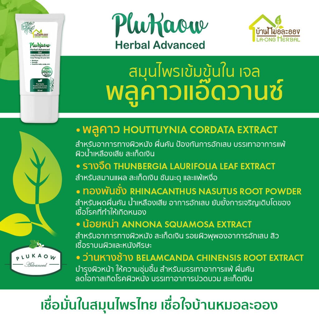 บ้านหมอละออง เจลสมุนไพร พลูคาวแอ๊ดวานซ์ 50ml. เจลทาผิวหน้า มือ เล็บ ผิวลอกแห้ง สะเก็ดเงินใช้ได้ รูปที่ 6