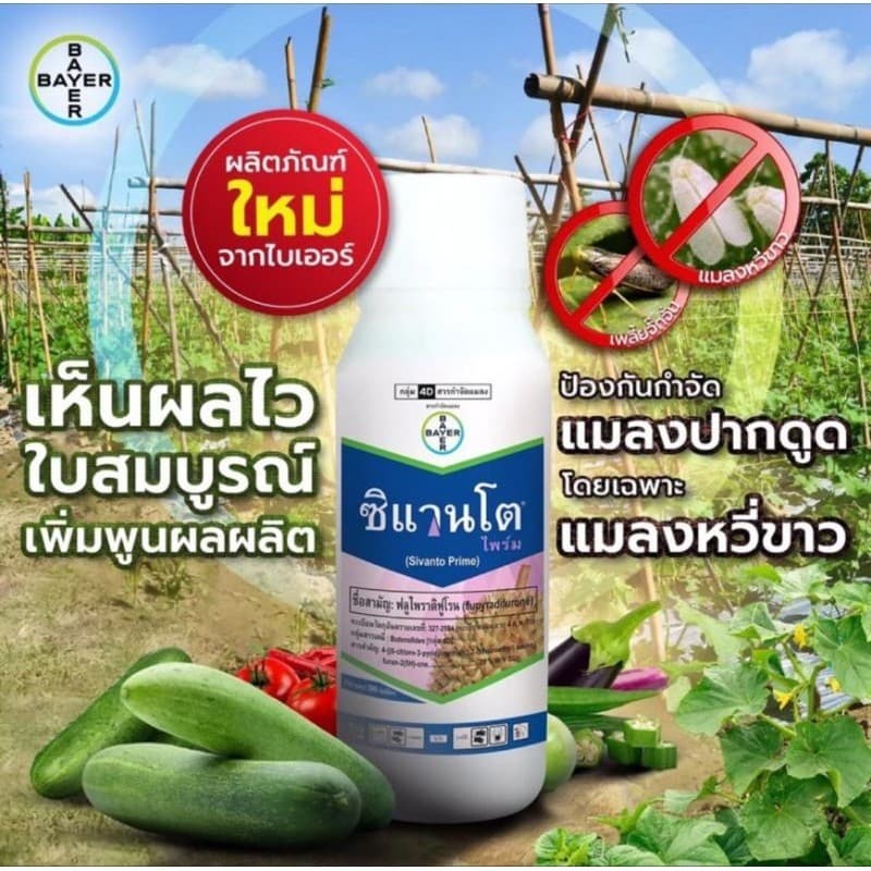 ซิแวนโต้ ขนาด 500ซีซี รูปที่ 1