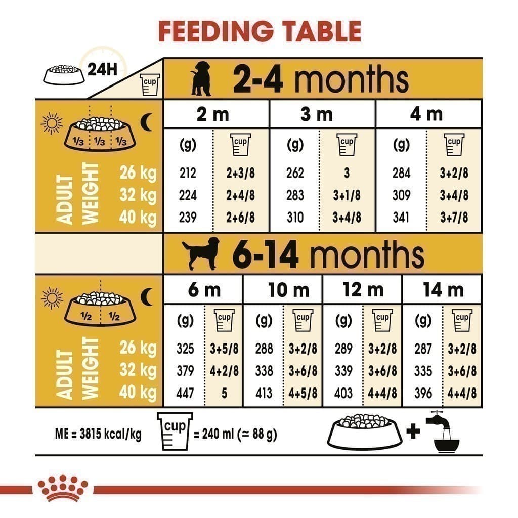 Royal Canin Labrador Retriever Puppy 12kg อาหารเม็ดลูกสุนัข พันธุ์ลาบราดอร์รีทรีฟเวอร์ อายุต่ำกว่า15เดือน รูปที่ 8