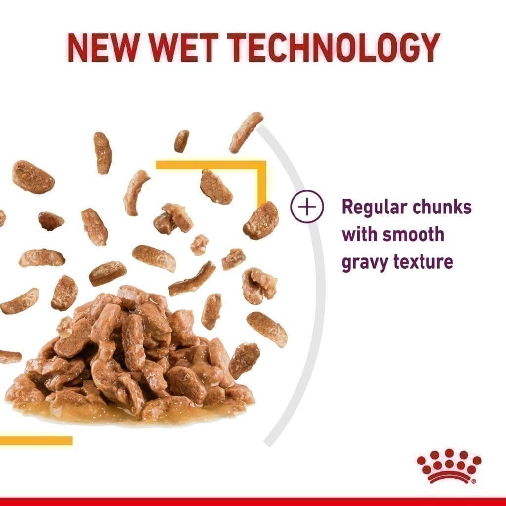 Royal Canin Indoor 4kg แมวเลี้ยงในบ้าน+Royal Canin Sensory Taste Pouch Gravy รสชาติพิเศษ อายุ 1 ปีขึ้นไป รูปที่ 4