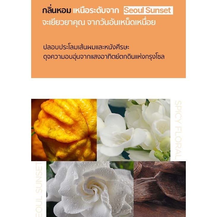RYO HAIR LOSS EXPERT CARE SHAMPOO l เรียว แฮร์ ลอส เอ็กซ์เปิร์ท แคร์ แชมพู รูปที่ 4
