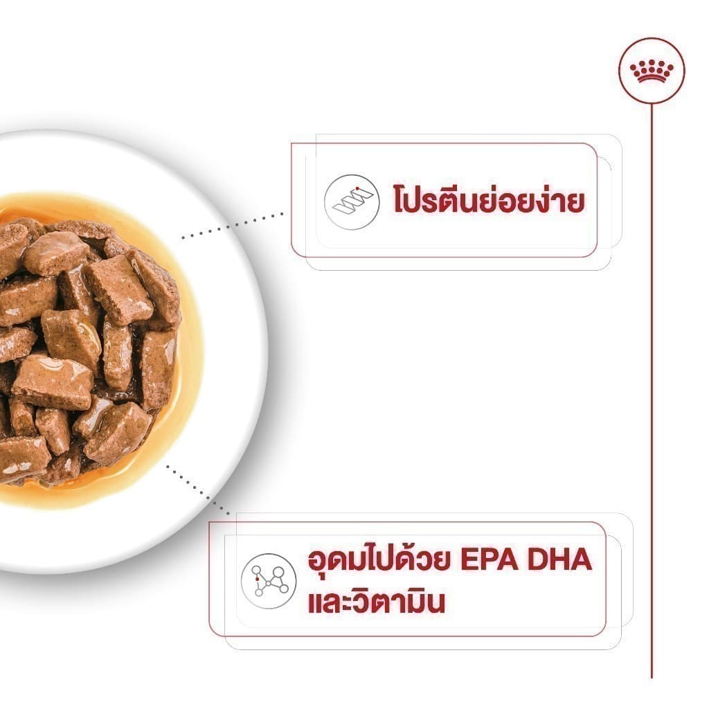 Royal Canin Maxi Ageing 8+ Pouch Gravy อาหารเปียกสุนัขสูงวัยพันธุ์ใหญ่ อายุ 8 ปีขึ้นไป รูปที่ 4