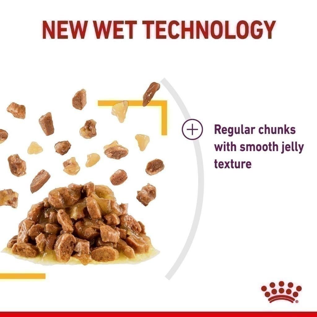 Royal Canin Indoor 4kg แมวเลี้ยงในบ้าน+Royal Canin Sensory Taste Pouch Gravy รสชาติพิเศษ อายุ 1 ปีขึ้นไป รูปที่ 5