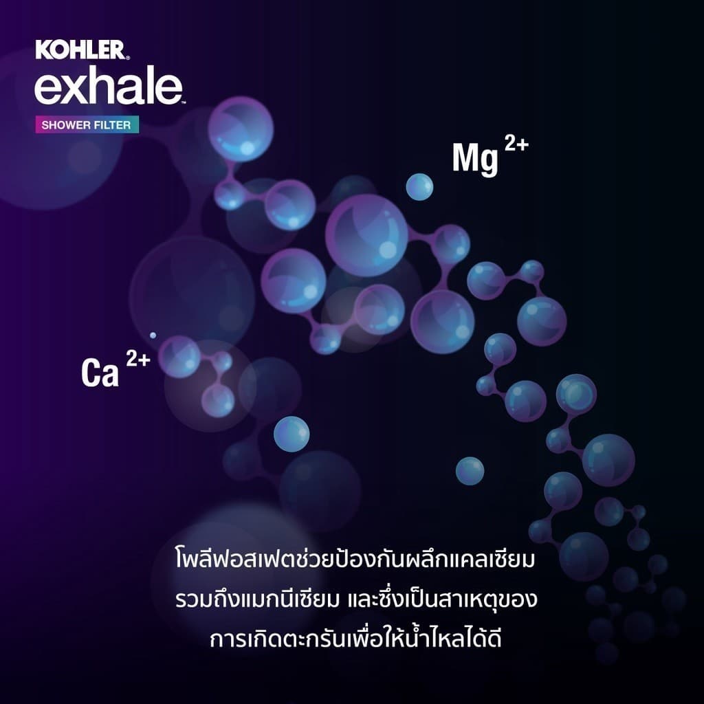 KOHLER Exhale shower filter ตัวกรองน้ำประปา สำหรับอาบน้ำ K-33001X-CP รูปที่ 6