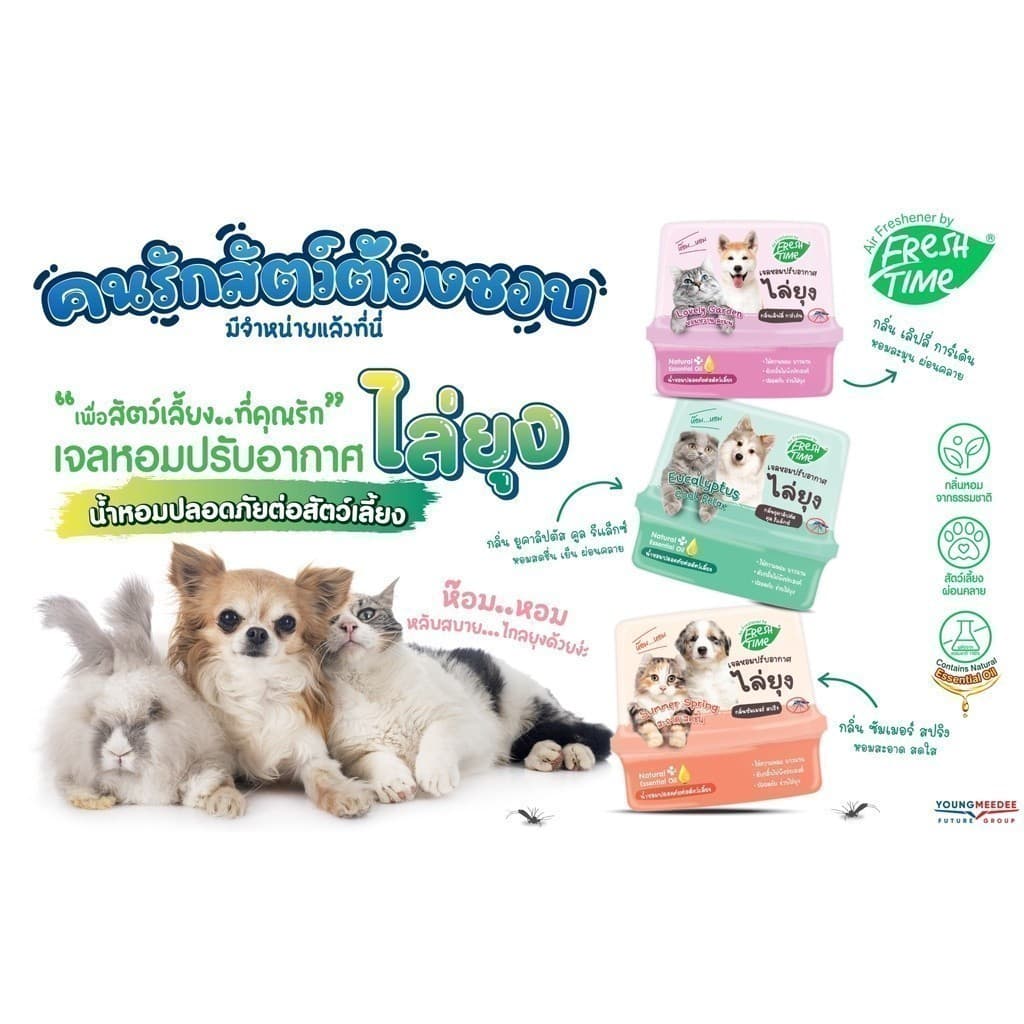FreshTime เจลปรับอากาศ สูตรไล่ยุง ขนาด180g ส่วนผสมจากน้ำมันสกัดธรรมชาติ ช่วยดับกลิ่น ปลอดภัยต่อสัตว์ รูปที่ 8