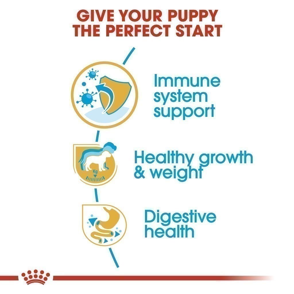 Royal Canin Labrador Retriever Puppy 12kg อาหารเม็ดลูกสุนัข พันธุ์ลาบราดอร์รีทรีฟเวอร์ อายุต่ำกว่า15เดือน รูปที่ 6