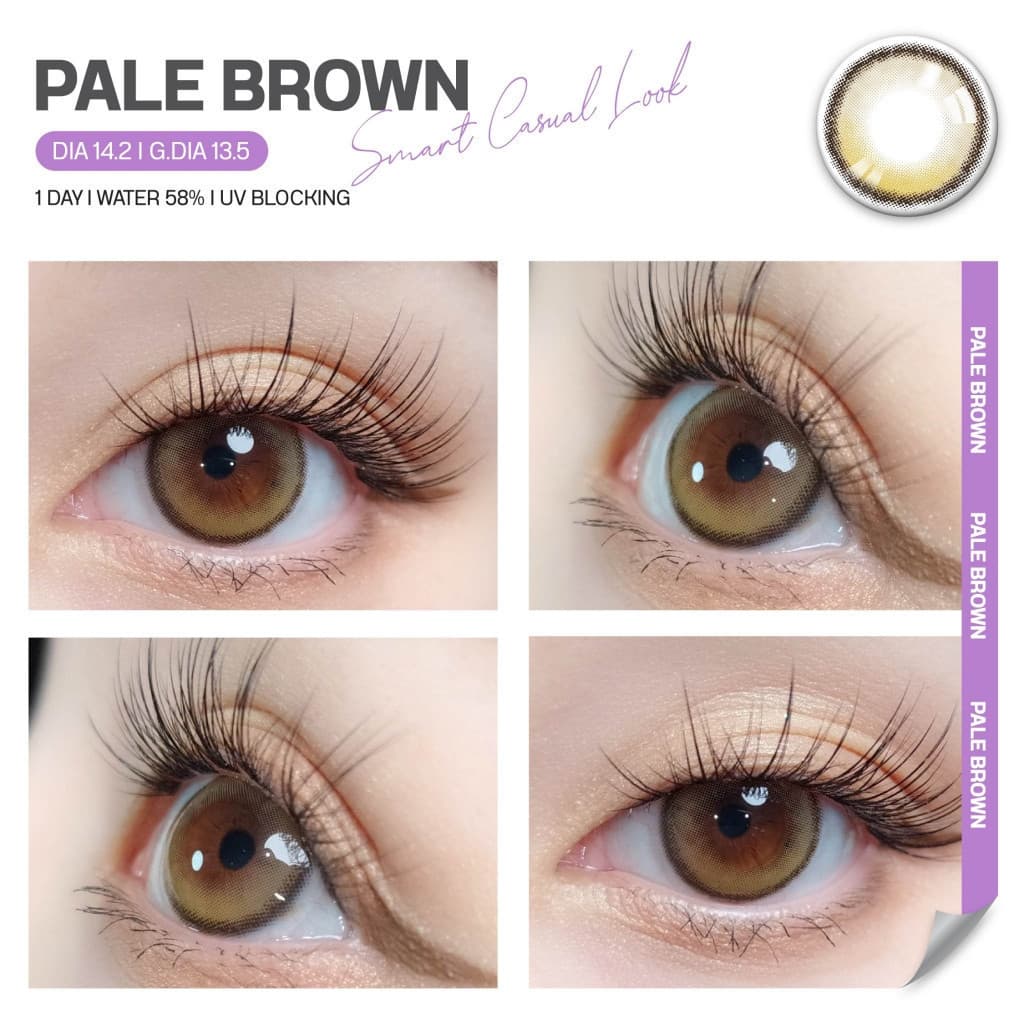 LEILA 1DAY Pale BROWN 6ชิ้น คอนแทคเลนส์รายวัน รูปที่ 6