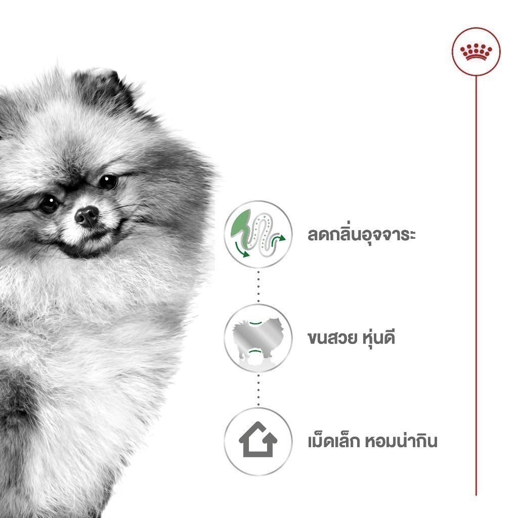 Royal Canin Mini Indoor Adult 500g อาหารเม็ดสุนัขโต พันธุ์เล็ก เลี้ยงในบ้าน อายุ10เดือน-8ปี รูปที่ 4