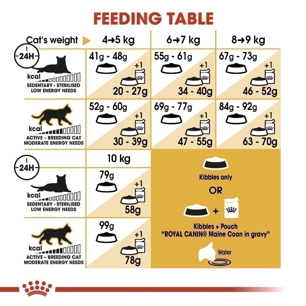 Royal Canin Mainecoon Adult 10kg อาหารเม็ดแมวโต พันธุ์เมนคูน อายุ 15 เดือนขึ้นไป รูปที่ 7