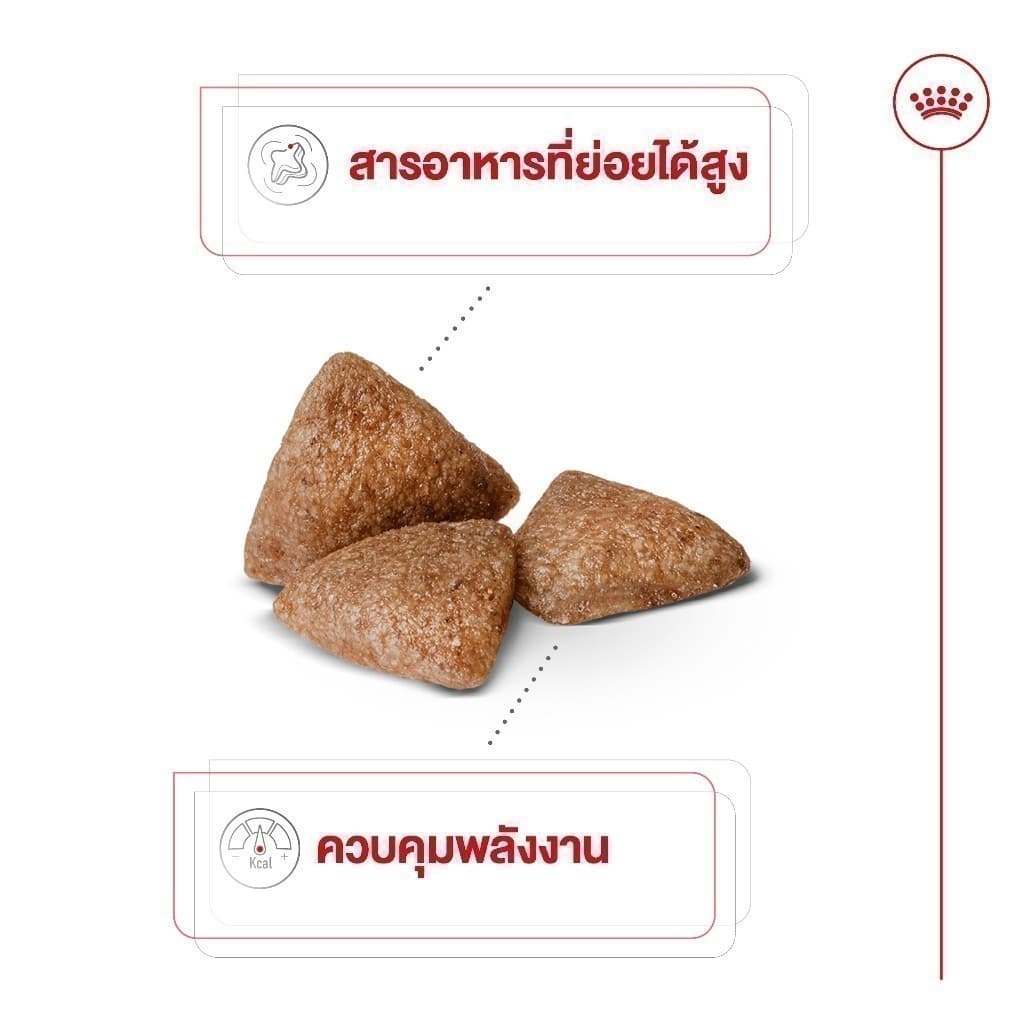 Royal Canin Mini Indoor Adult 500g อาหารเม็ดสุนัขโต พันธุ์เล็ก เลี้ยงในบ้าน อายุ10เดือน-8ปี รูปที่ 5