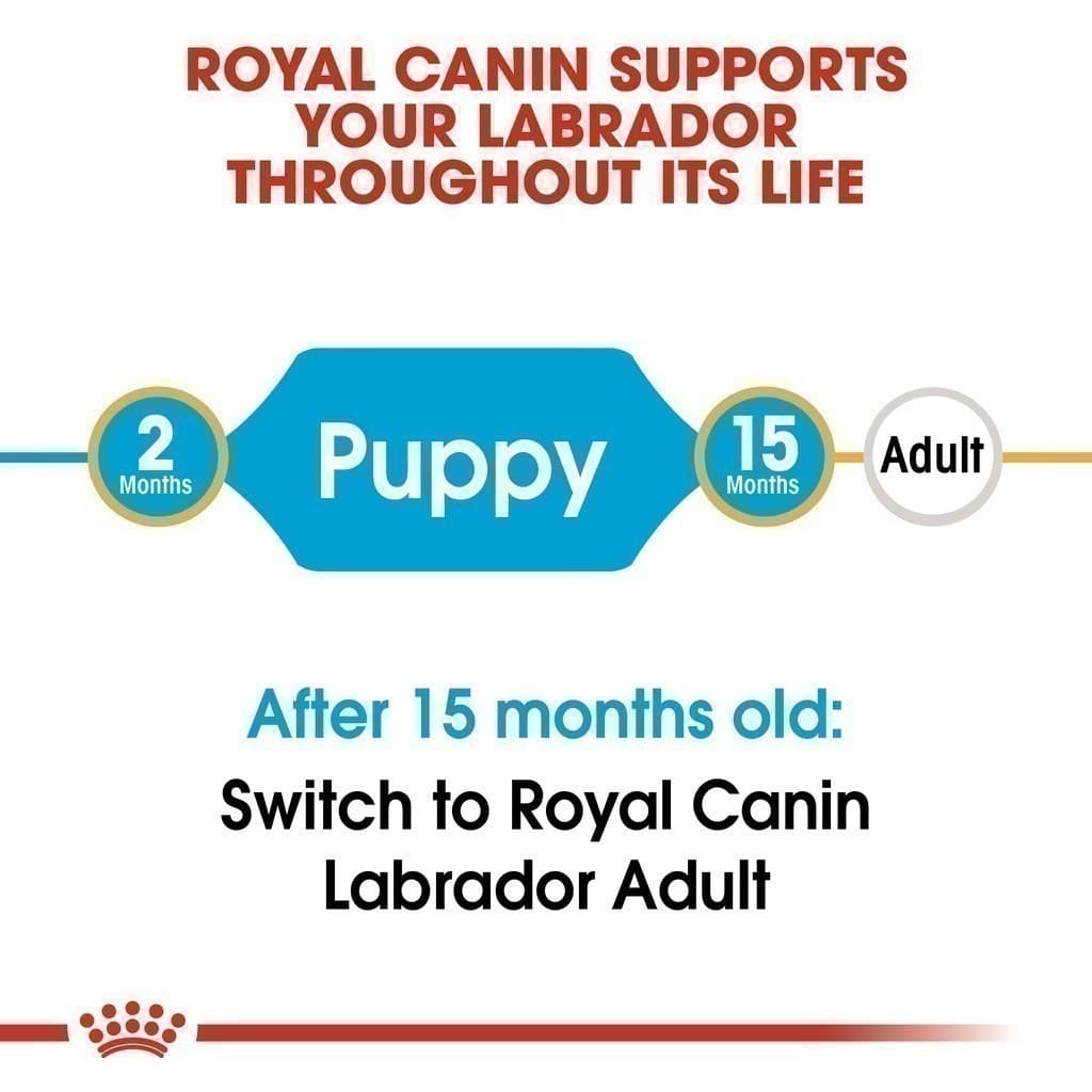Royal Canin Labrador Retriever Puppy 12kg อาหารเม็ดลูกสุนัข พันธุ์ลาบราดอร์รีทรีฟเวอร์ อายุต่ำกว่า15เดือน รูปที่ 4