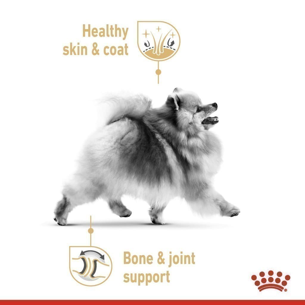 Royal Canin Pomeranian Adult 3kg อาหารเม็ดสุนัขโต พันธุ์ปอมเมอเรเนียน อายุ 8 เดือนขึ้นไป รูปที่ 4