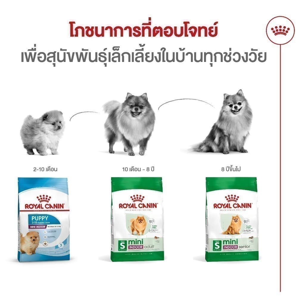 Royal Canin Mini Indoor Adult 500g อาหารเม็ดสุนัขโต พันธุ์เล็ก เลี้ยงในบ้าน อายุ10เดือน-8ปี รูปที่ 6