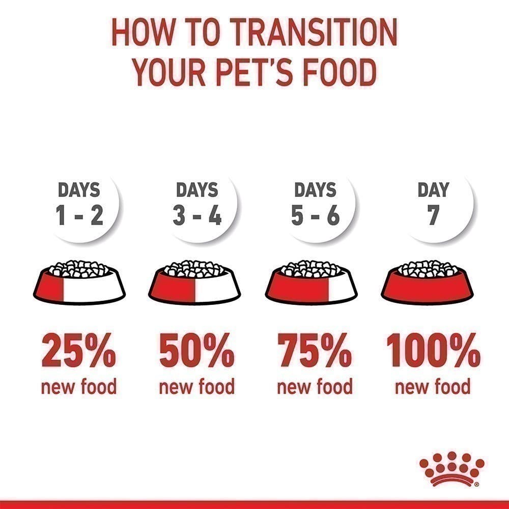 Royal Canin Mini Puppy 800g อาหารเม็ดลูกสุนัข พันธุ์เล็ก อายุ 2-10 เดือน รูปที่ 6