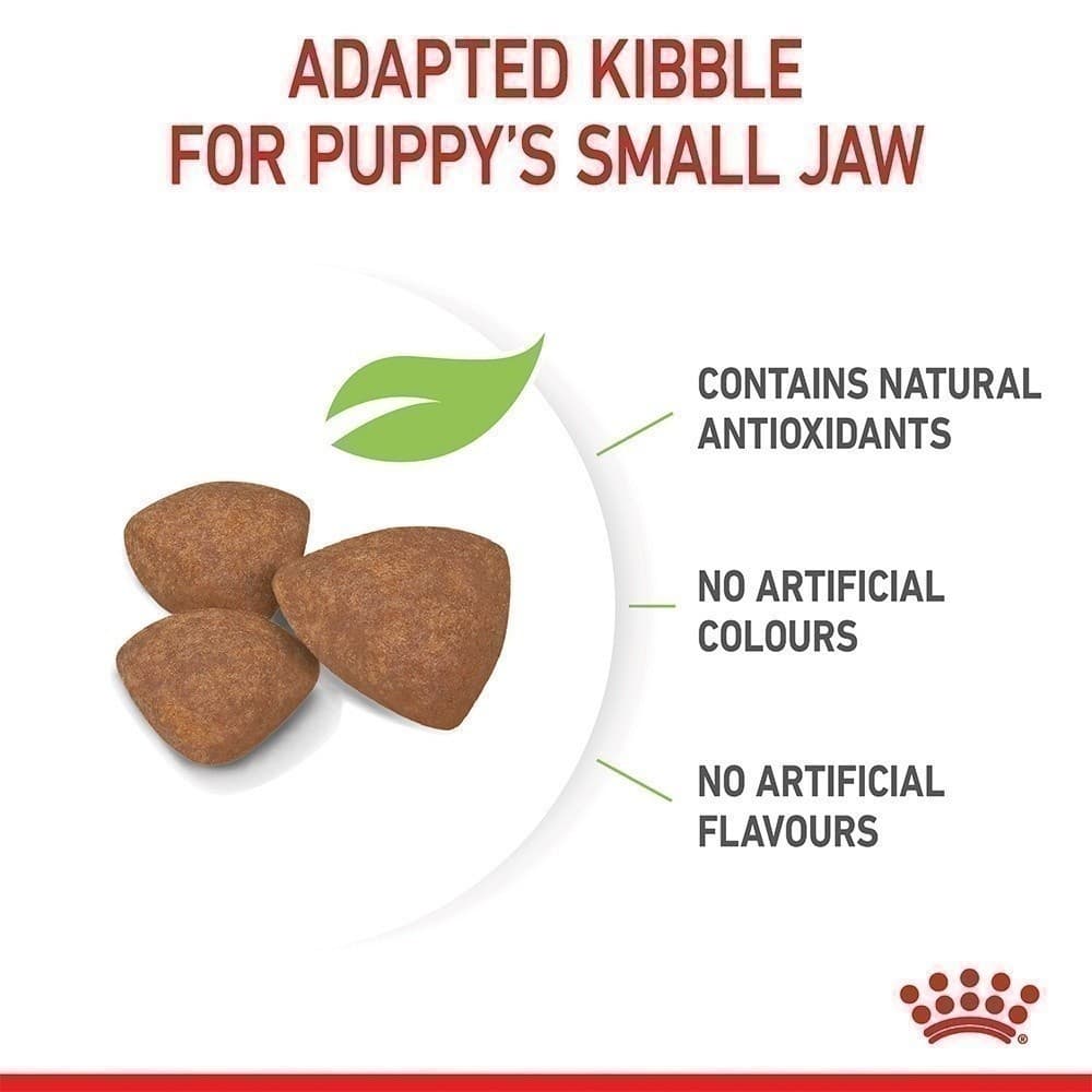 Royal Canin Mini Puppy 800g อาหารเม็ดลูกสุนัข พันธุ์เล็ก อายุ 2-10 เดือน รูปที่ 5