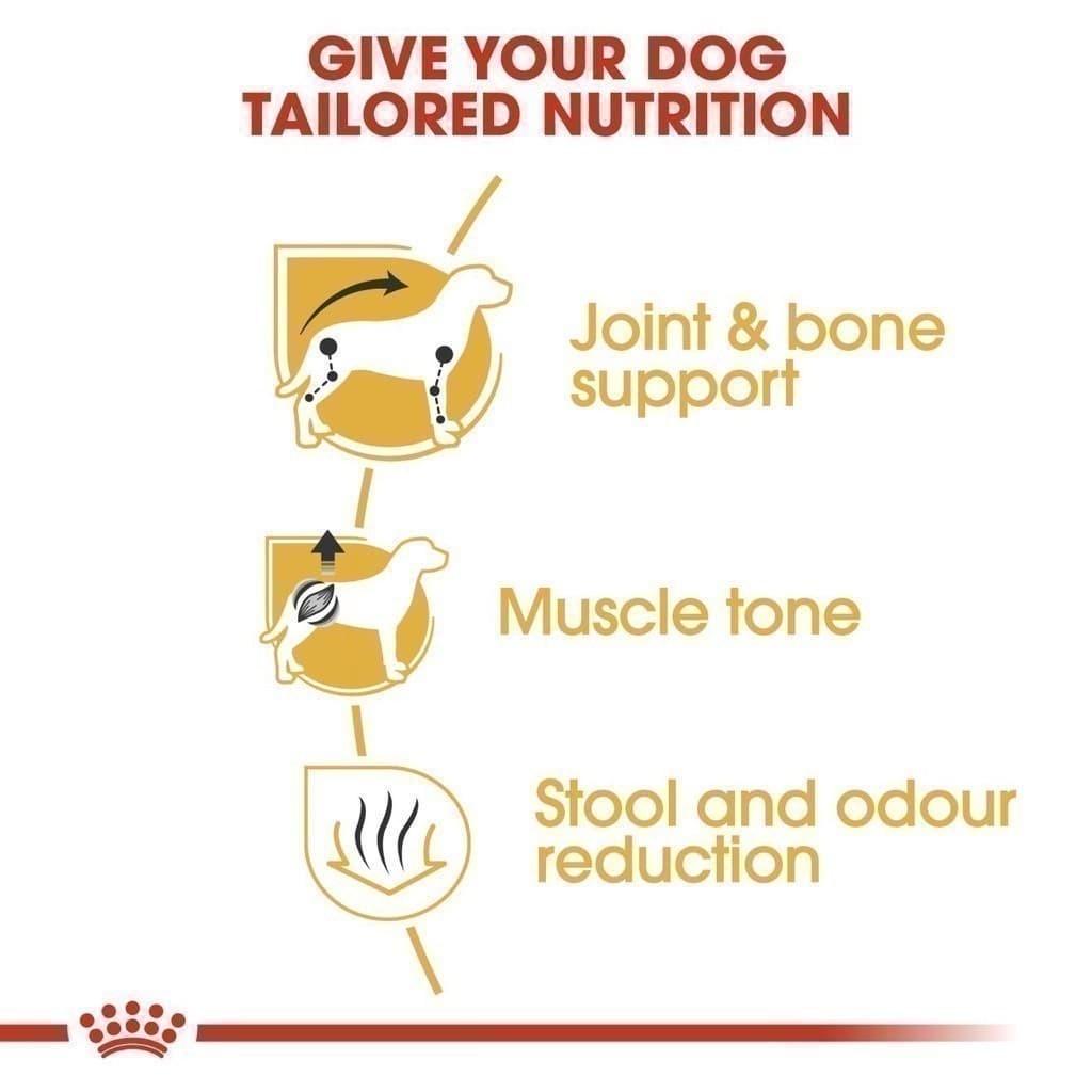 Royal Canin Dachshund Adult 1.5kg อาหารเม็ดสุนัขโต พันธุ์ดัชชุน อายุ 10 เดือนขึ้นไป รูปที่ 6