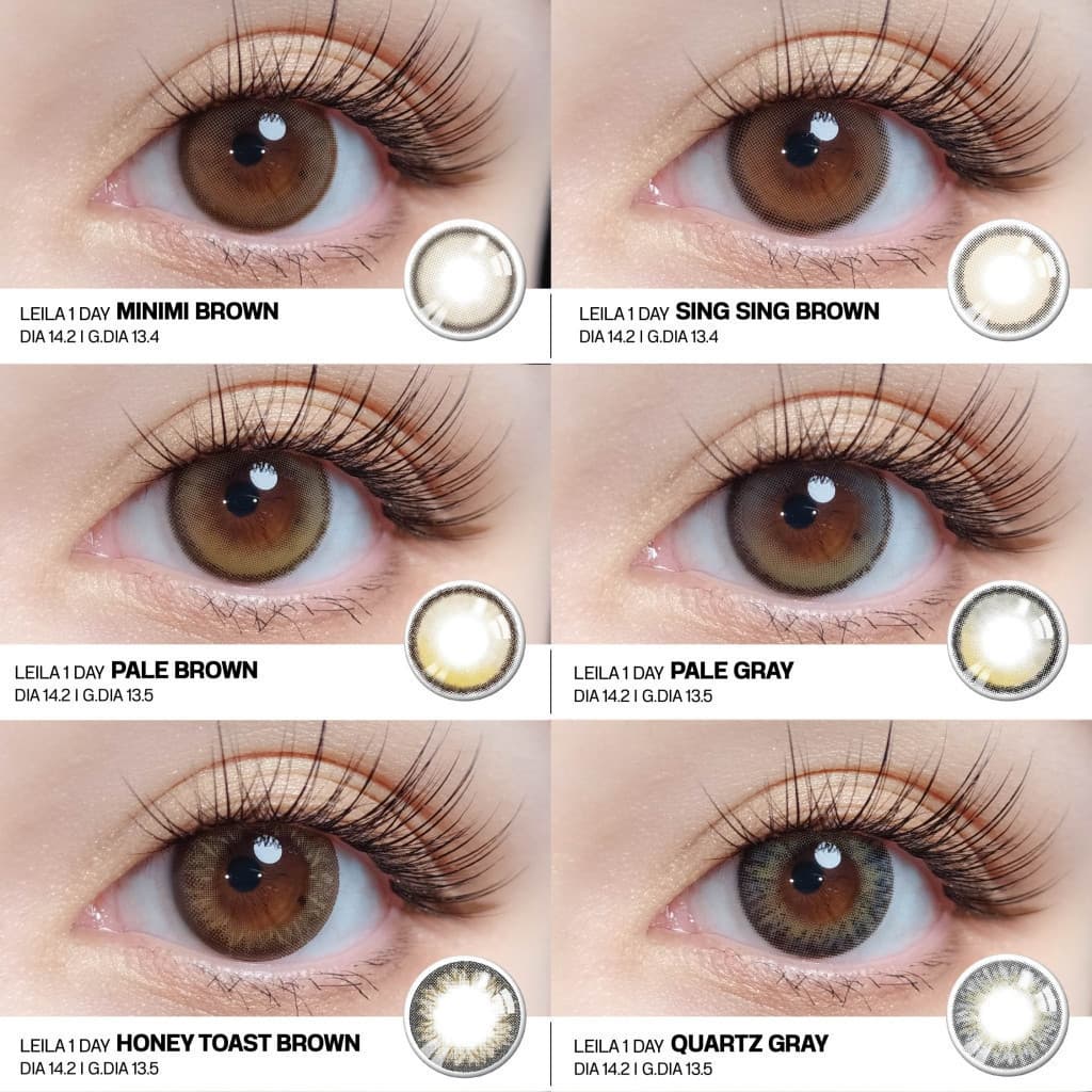 LEILA 1DAY Pale BROWN 6ชิ้น คอนแทคเลนส์รายวัน รูปที่ 8